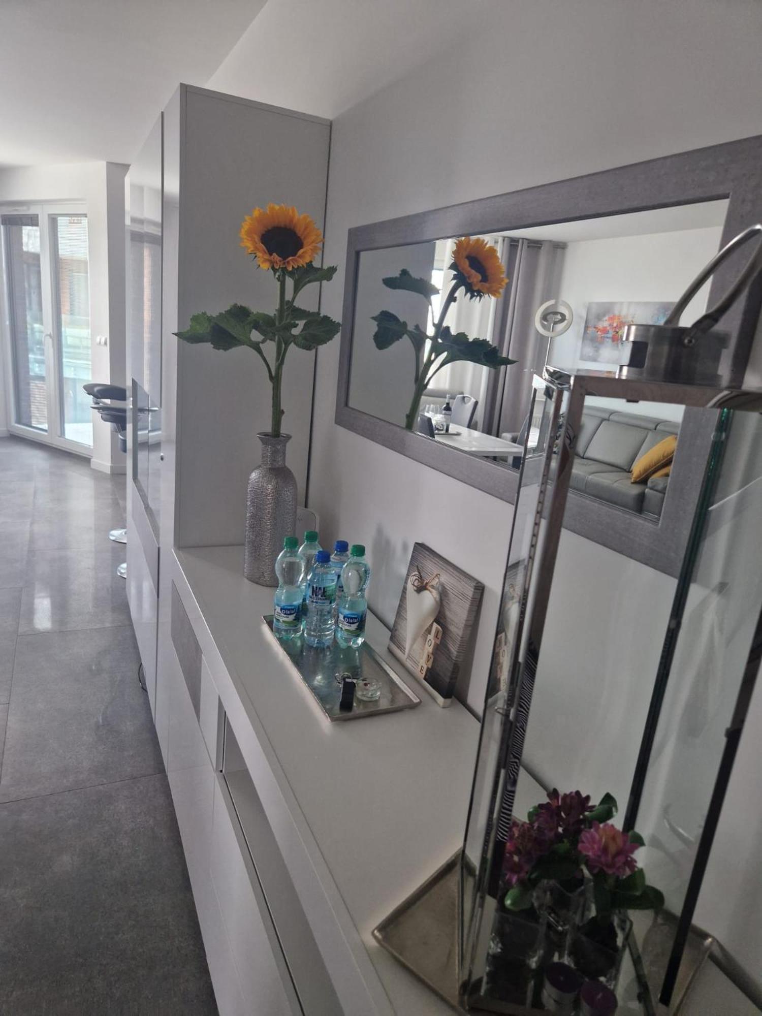 Apartament Delfin Puck Exterior foto